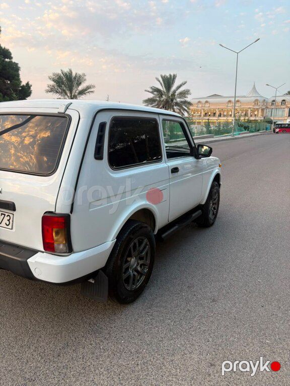 Lada (VAZ) Niva, 1.7 L, 2013 il, 110 000 km — Avtomobillər, Gəncə (6)