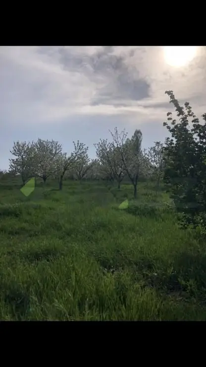 48 sot Torpaq Satılır, Xaçmaz — Torpaq, Xaçmaz (2)