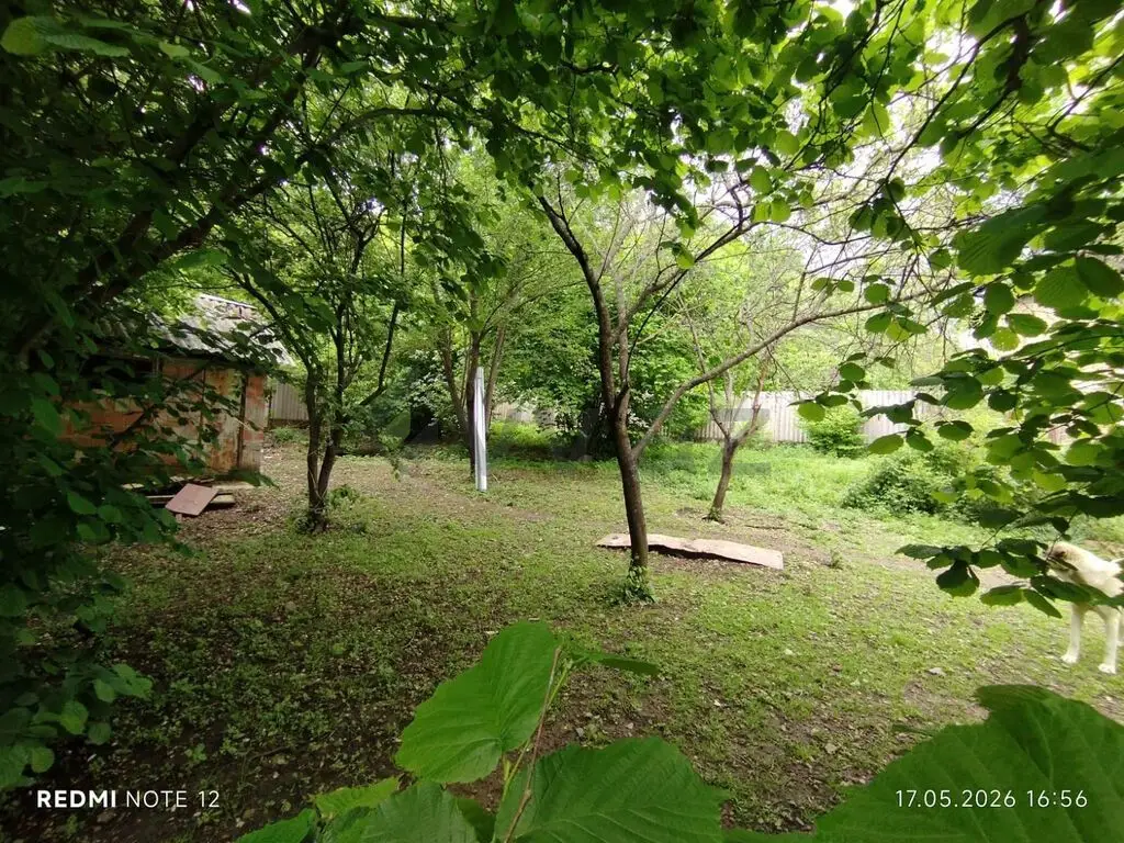 6 sot Torpaq Satılır, Oğuz — Torpaq, Oğuz (4)