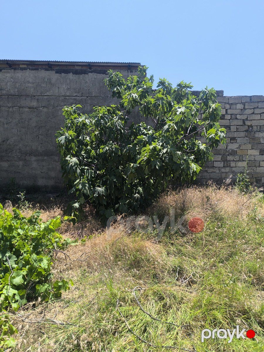Satılır torpaq 6 sot — Torpaq, Bakı (7)