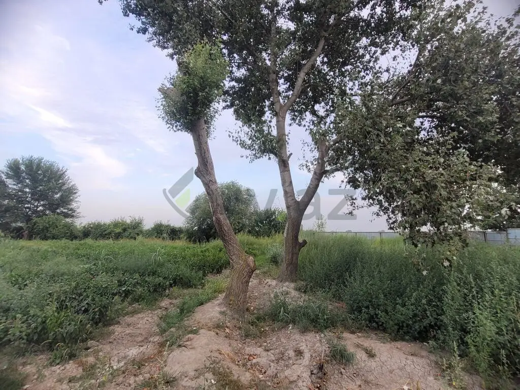 35 sot Torpaq Satılır, Şirvan — Şirvan