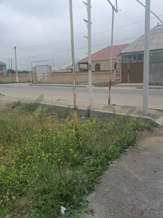 4 sot Torpaq Satılır, Gəncə — Torpaq, Gəncə (3)