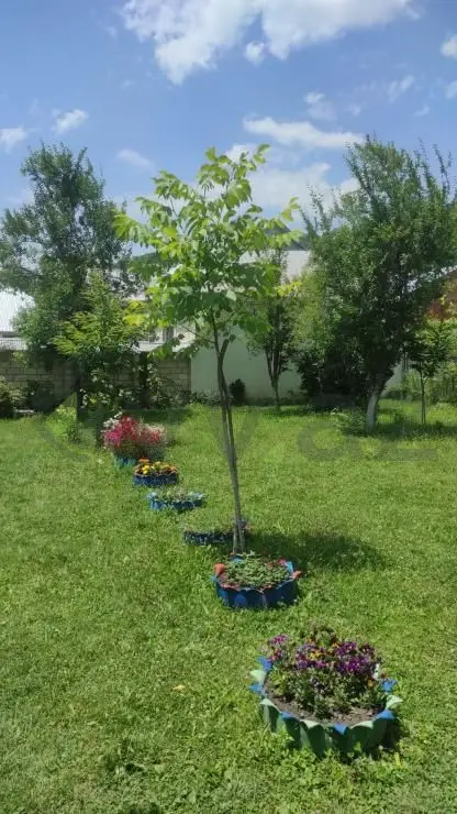 4 otaqlı Həyət evi Kirayə (günlük), Qəbələ — Ev, villa, Qəbələ (10)