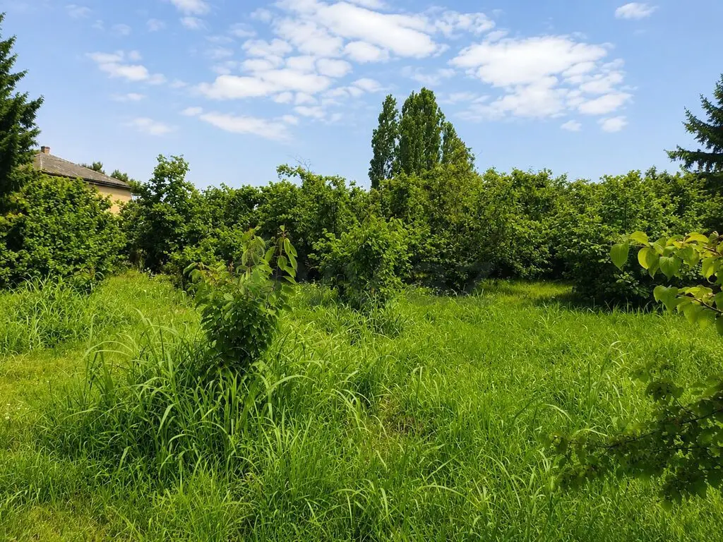 10 sot Torpaq Satılır, Xaçmaz — Torpaq, Xaçmaz (2)