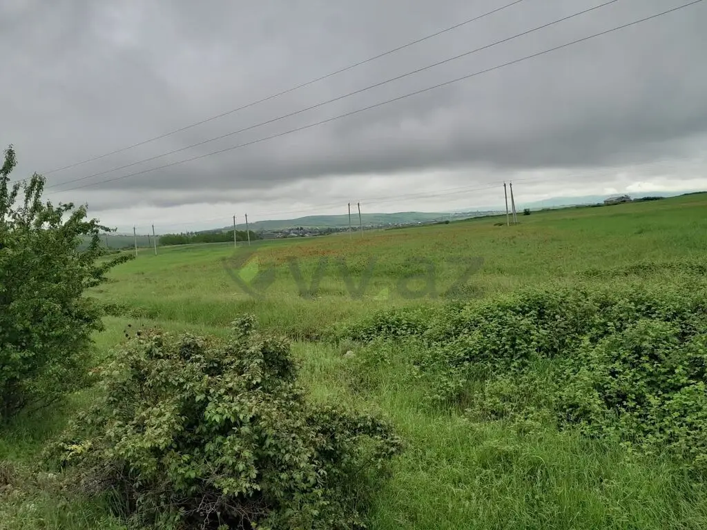 45 sot Torpaq Satılır, Şamaxı — Torpaq, Şamaxı (3)