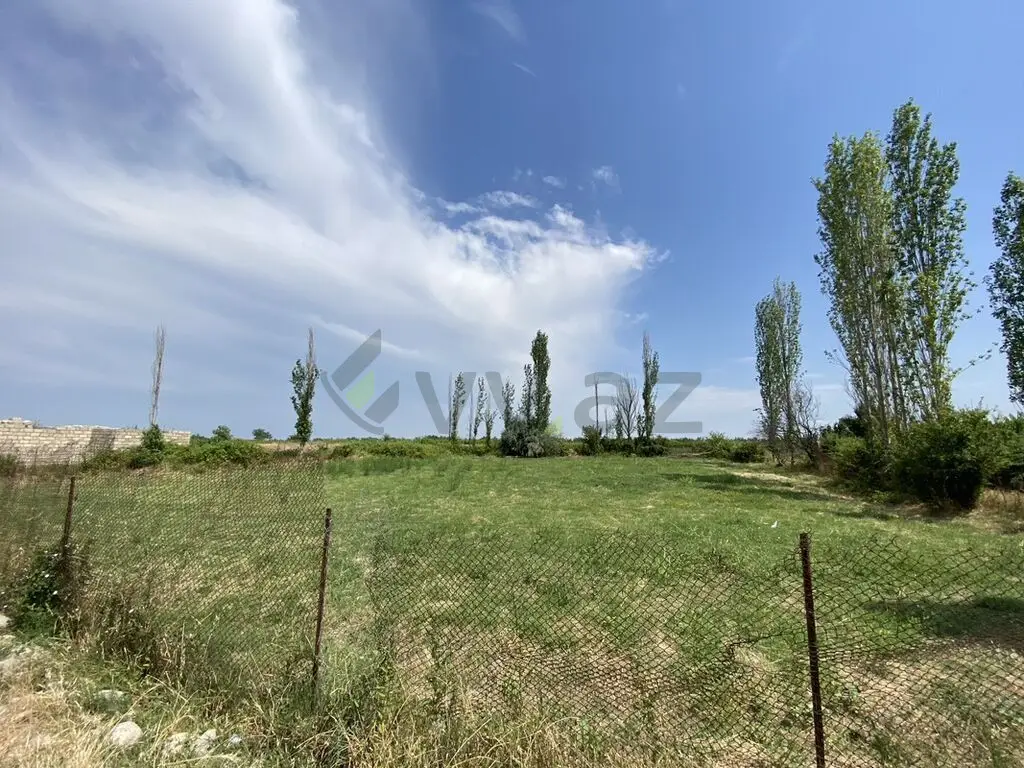 12 sot Torpaq Satılır, Şabran — Torpaq, Şabran (3)