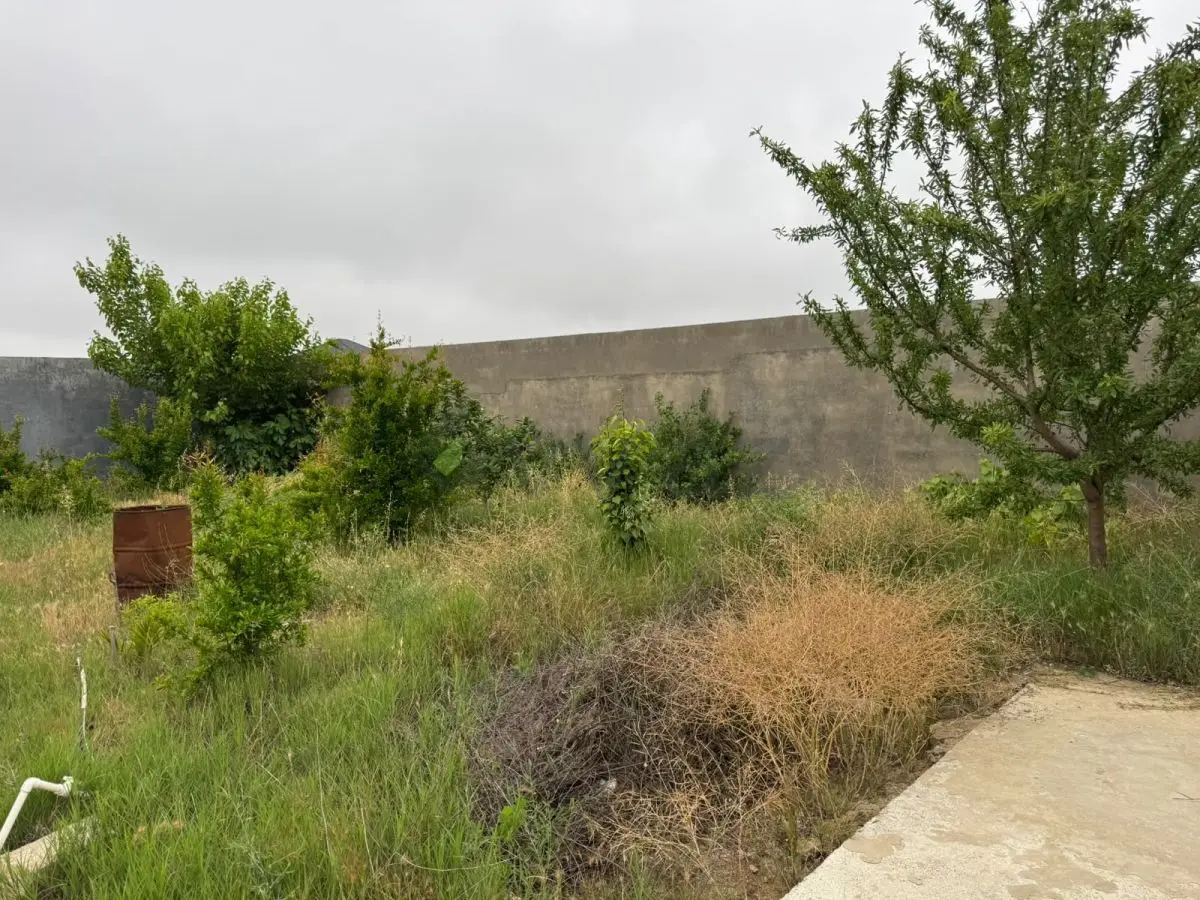 4 otaqlı Həyət evi Satılır, Nardaran qəs., Sabunçu, Bakı — Ev, villa, Bakı (5)