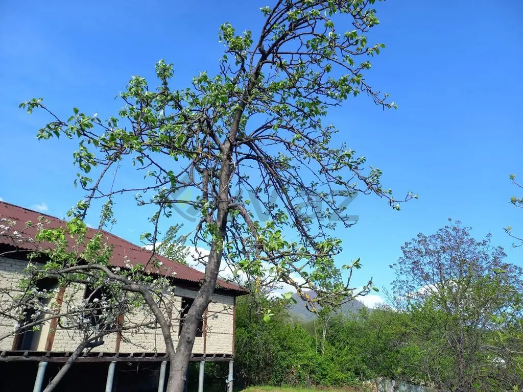 3 otaqlı Yarım tikili Satılır, Qəbələ — Ev, villa, Qəbələ (10)