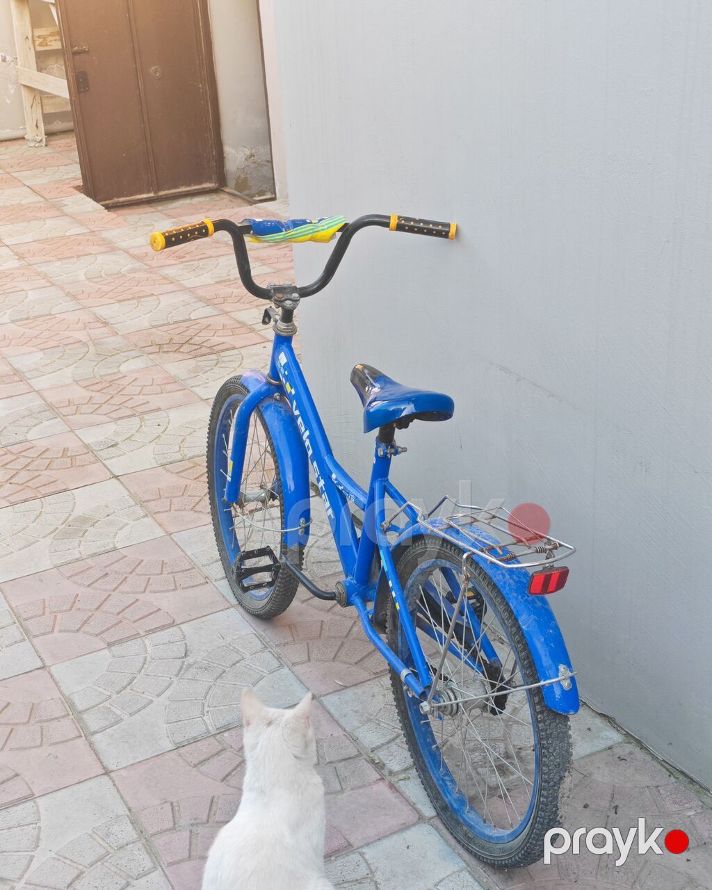 Uşaq velosipedi – Velo Star - Marka/model: Velo Star - Ölçü: Təxmini — Uşaq velosipedləri, Masazır (3)