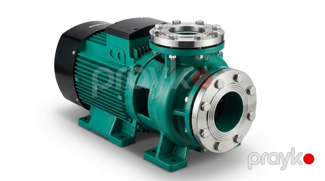 Səthi nasos Shimge 15kW SGT100-160/15 — Mallar, Bakı (2)