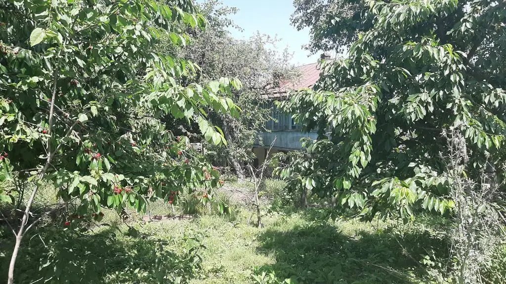 3 otaqlı Həyət evi Satılır, Qusar — Ev, villa, Qusar (8)