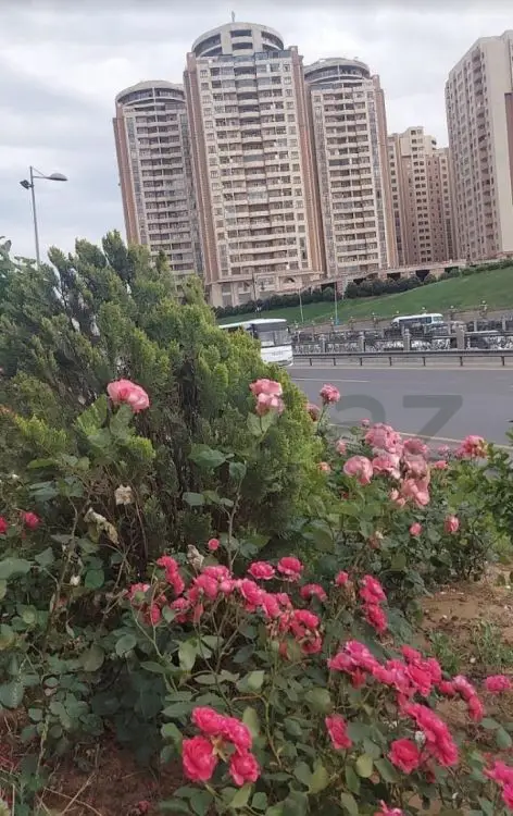 3 otaqlı mənzil Yeni tikili Satılır, Yeni Yasamal qəs., Yasamal, Bakı — Mənzil, Bakı (4)