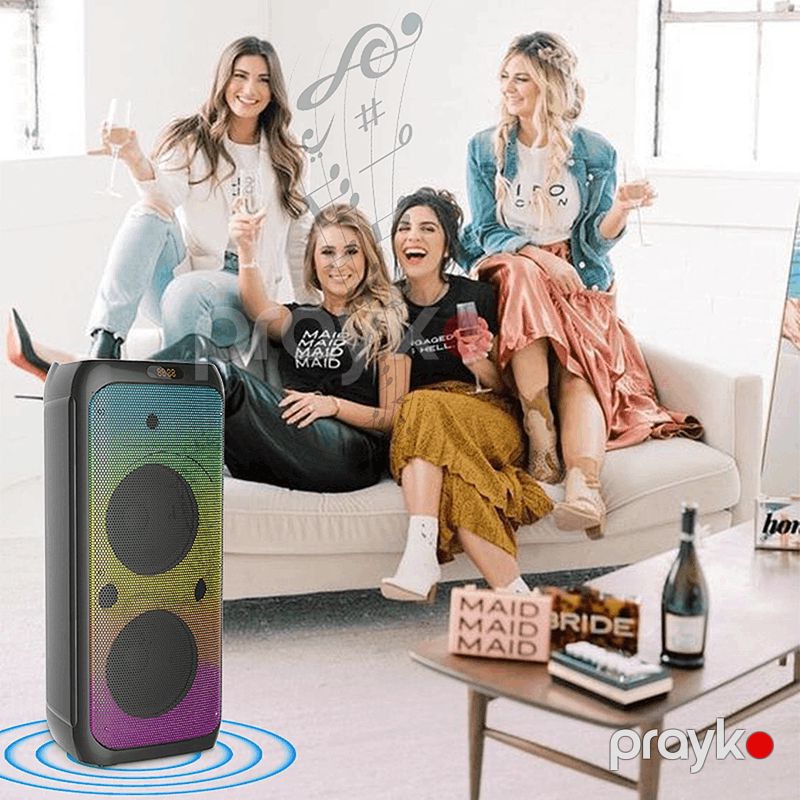 Səs gücləndirici Sing-e ZQS10208 Black — Gücləndiricilər, qəbuledicilər və DAC, Bakı (6)