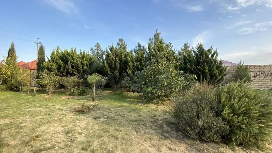12 sot Torpaq Satılır, Albalı qəs., Sabunçu, Bakı — Torpaq, Bakı (5)