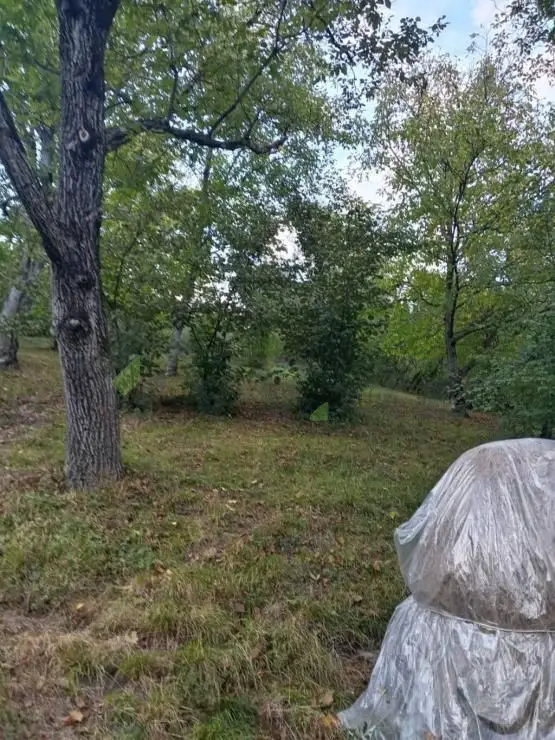 3 otaqlı Həyət evi Satılır, Quba — Ev, villa, Quba (5)