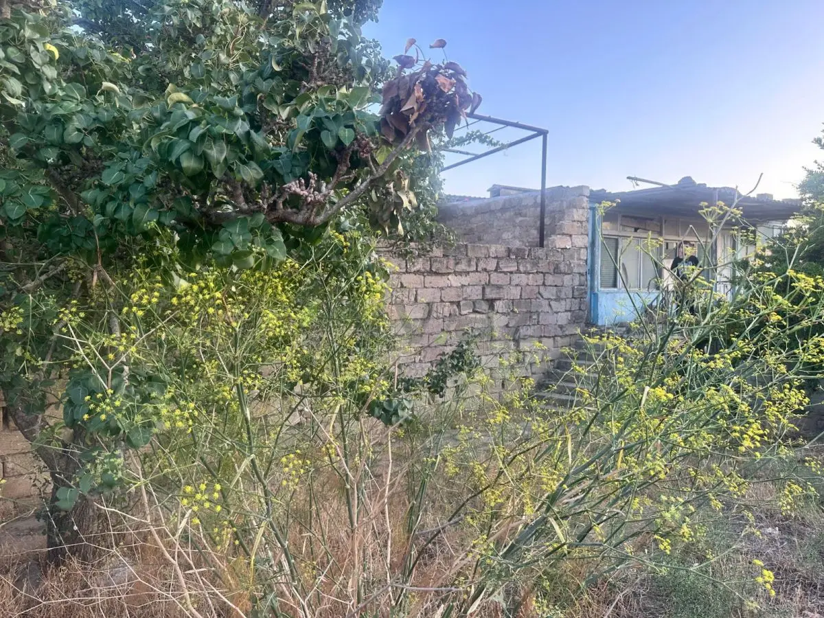 6 sot Torpaq Satılır, Bilgəh qəs., Sabunçu, Bakı — asemlak