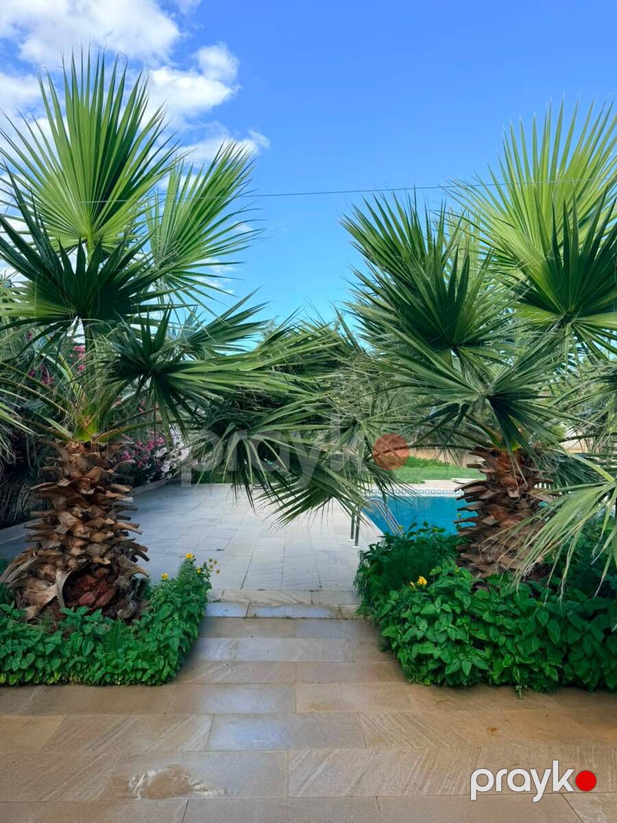 İcarəyə verilir 7 otaqlı həyət evi/bağ evi 170 m² — Ev, villa, Bakı (2)