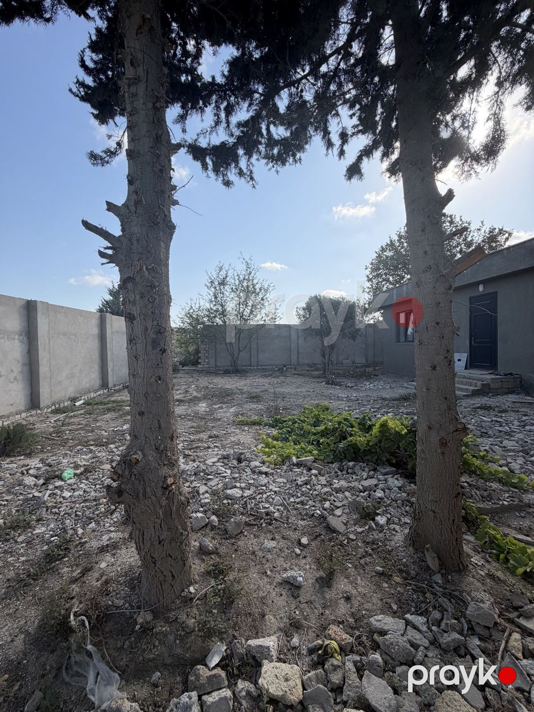 Satılır torpaq 4 sot — Torpaq, Bakı (11)