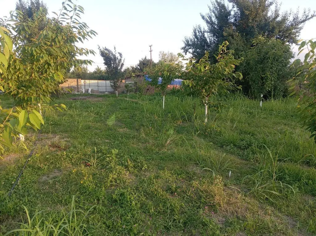 10 sot Torpaq Satılır, Quba — Torpaq, Quba (5)