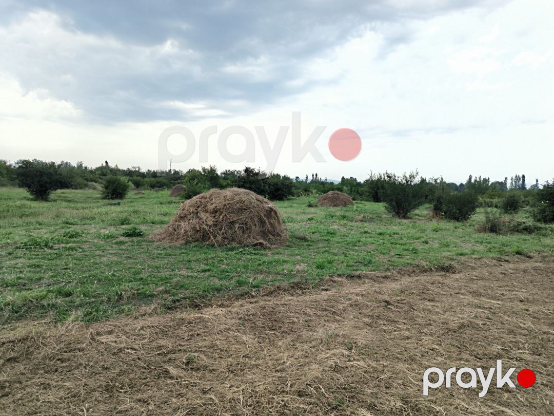 Satılır torpaq 250 sot — Torpaq, Qəbələ (3)