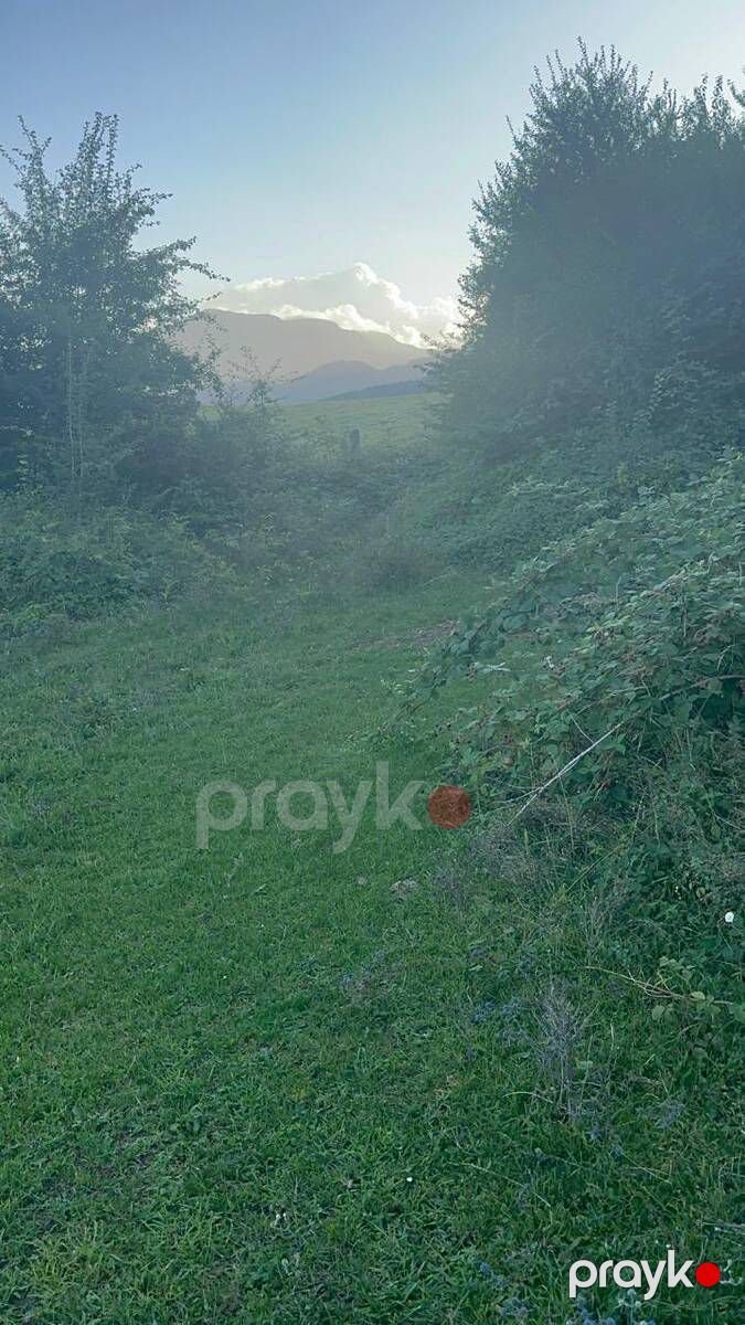 Satılır torpaq 76 sot — Torpaq, Quba (8)