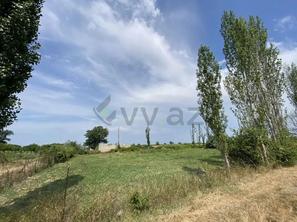 12 sot Torpaq Satılır, Şabran — Torpaq, Şabran (5)