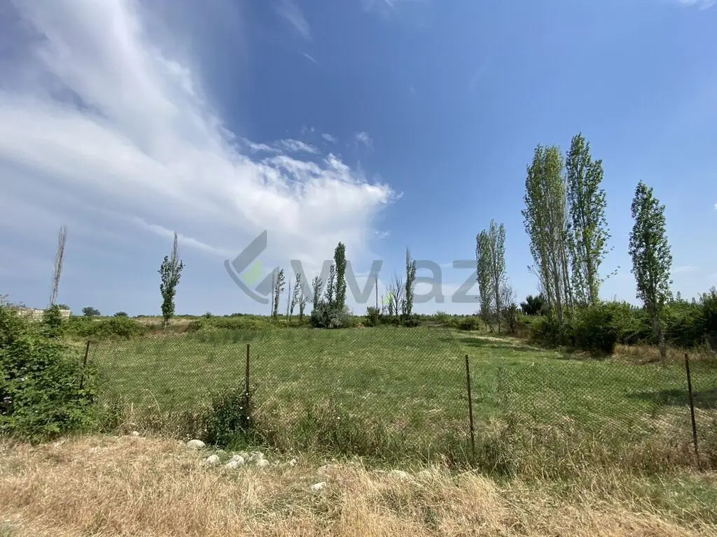 12 sot Torpaq Satılır, Şabran — Torpaq, Şabran (2)