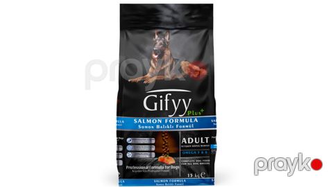 Quru yem Gifyy yetkin itlər üçün lasoslu — Bakı