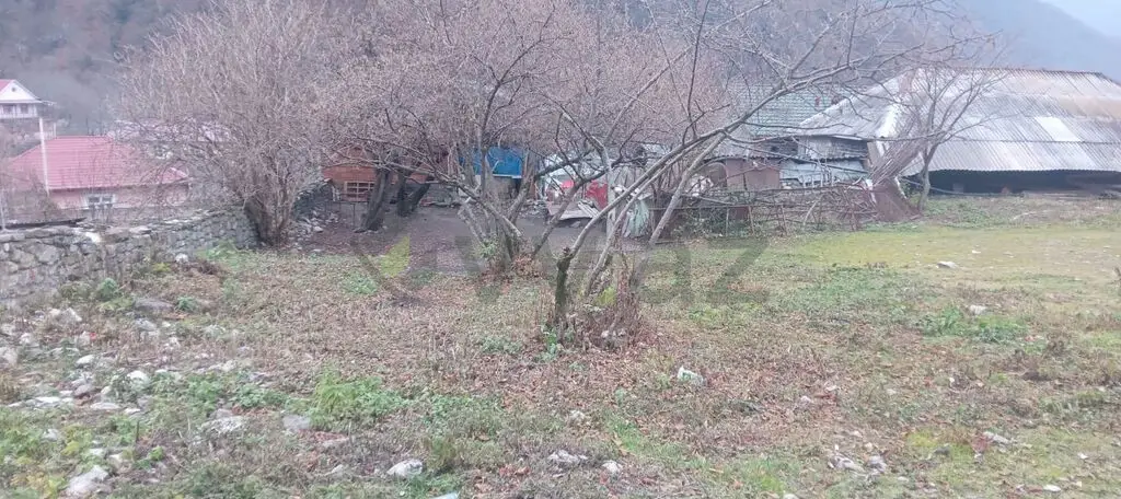 14 sot Torpaq Satılır, Qax — Torpaq, Qax (2)