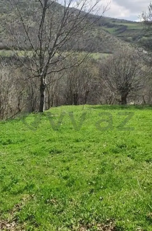 32 sot Torpaq Satılır, Tovuz — Torpaq, Tovuz (2)