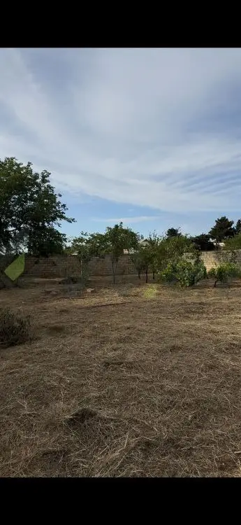 2 sot Torpaq Satılır, Novxanı, Abşeron — Torpaq (2)