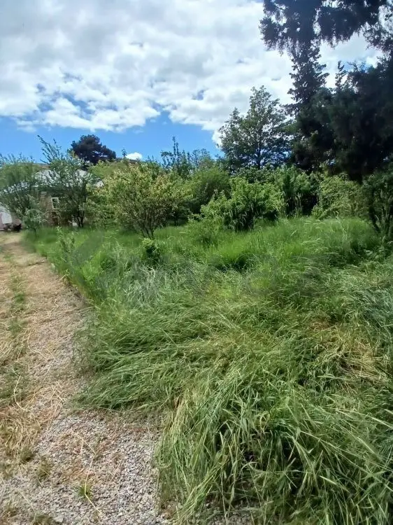 4 otaqlı Həyət evi Satılır, Şamaxı — Şamaxı