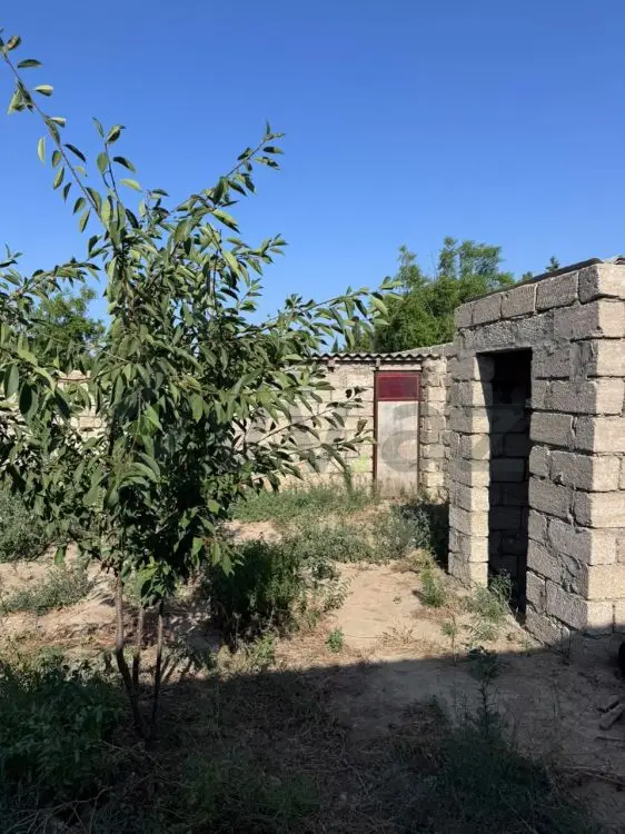 1 otaqlı Həyət evi Satılır, Albalı qəs., Sabunçu, Bakı — Ev, villa, Bakı (5)