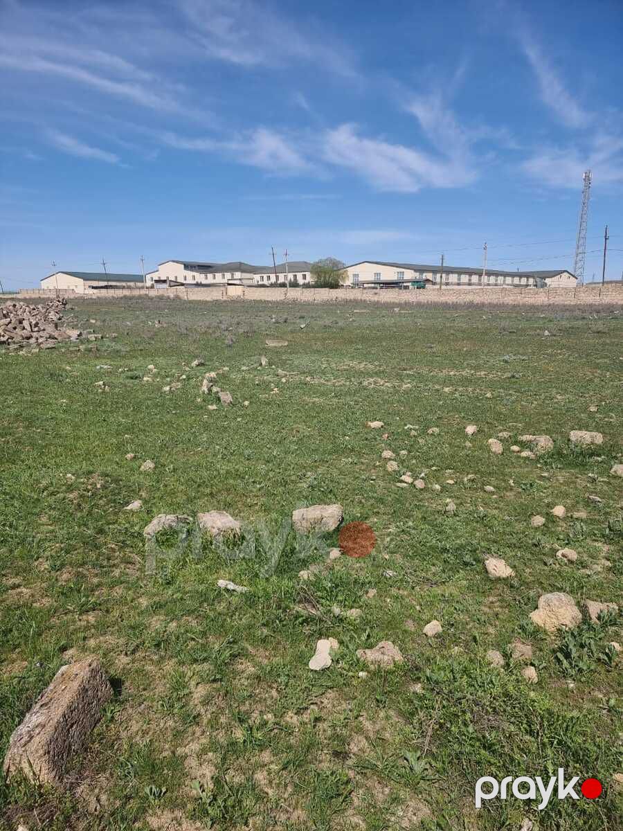 Satılır torpaq 80 sot — Torpaq, Bakı (3)