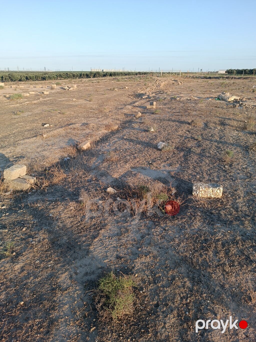 Tikinti — Torpaq, Bakı (4)