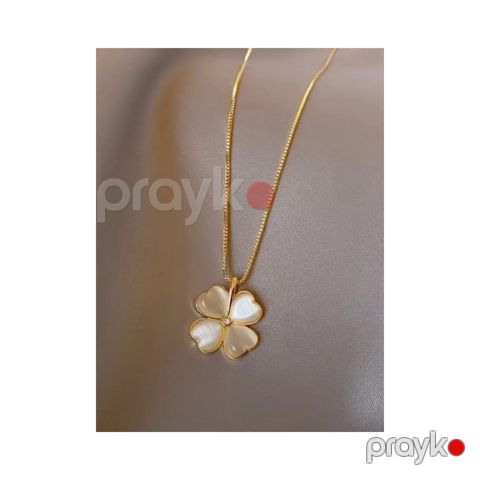 Boyunbağı qadınlar üçün Arcanum6345-3 — Bakı