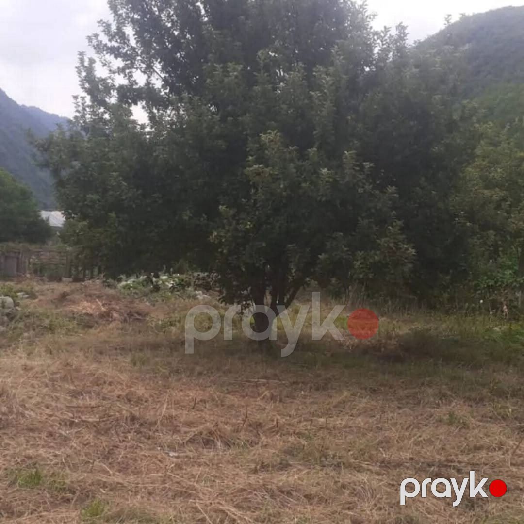 12 sot torpaq sahəsi, Oğuz r — Torpaq, Oğuz (4)