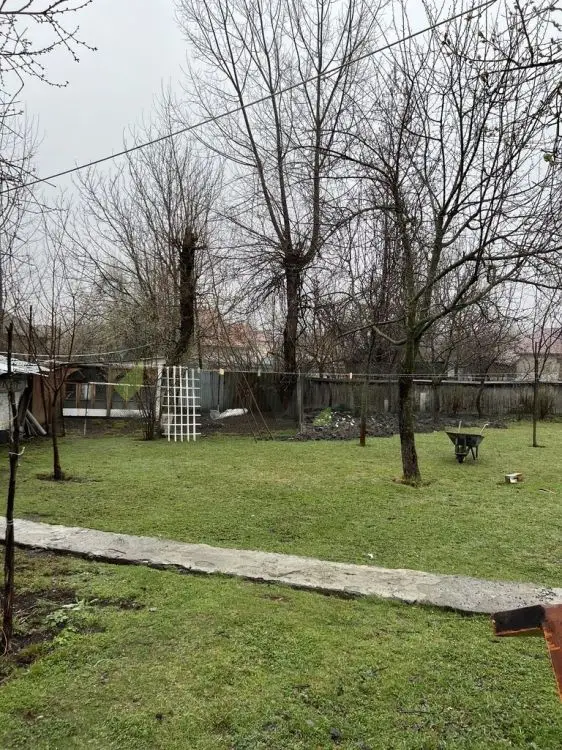 3.5 sot Torpaq Satılır, Qəbələ — Qəbələ