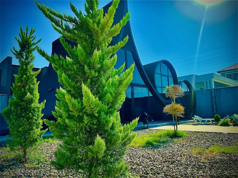 Kirayə verilir 6 otaqlı Həyət evi 200 m² Bakı, Xəzər r., Şüvəlan — Ev, villa, Bakı (5)