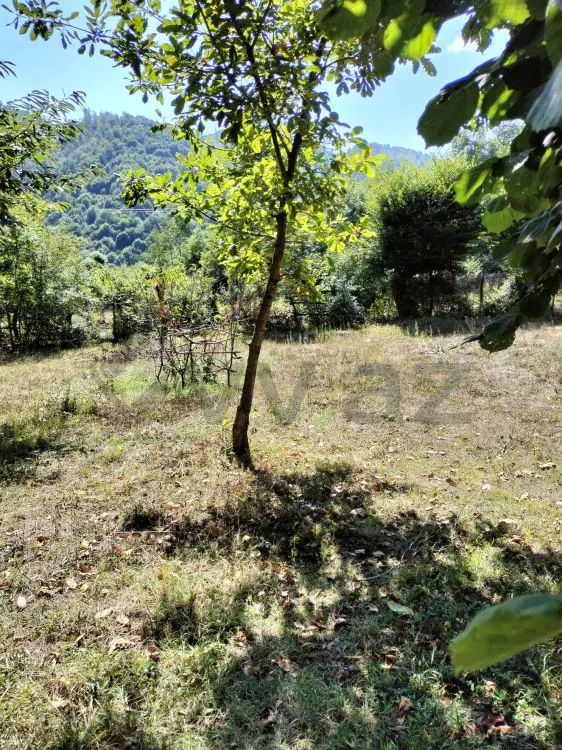 60 sot Torpaq Satılır, Qəbələ — Torpaq, Qəbələ (2)