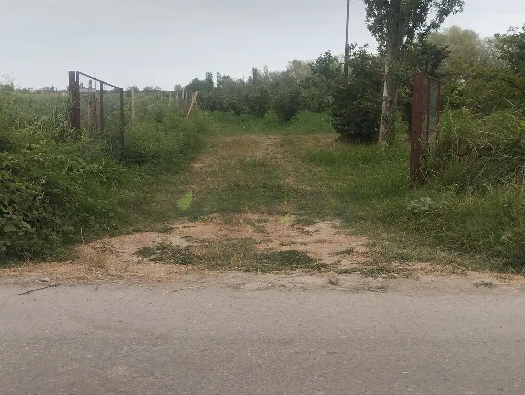 157 sot Torpaq Satılır, Xaçmaz — Xaçmaz