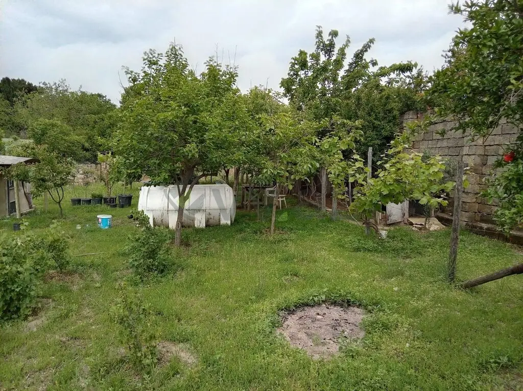 5 sot Torpaq Satılır, Novxanı, Abşeron — Torpaq (10)