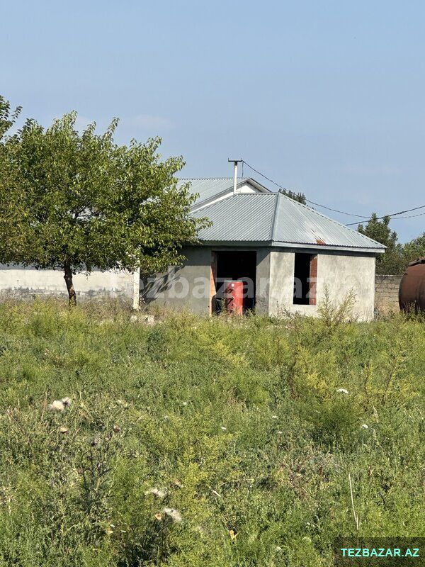 Oğuzda Ferma — Ofis, Bakı (3)