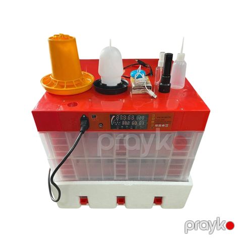 İnkubator YT-60-29, plastik — Bakı