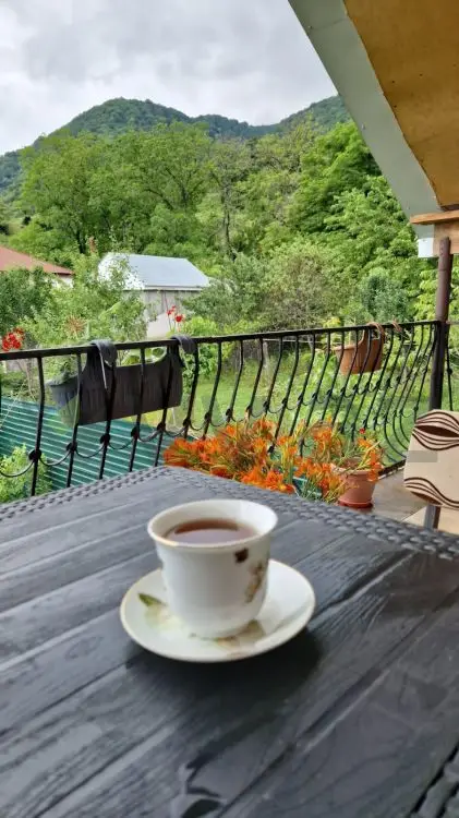 4 otaqlı Həyət evi Kirayə (günlük), Qax — Ev, villa, Qax (3)
