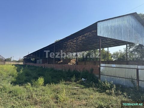 Oğuzda Ferma — Elmir Həsənov — Ofis