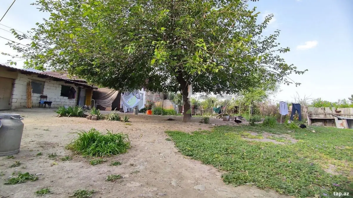 2 otaqlı Həyət evi Satılır, Şəki — Ev, villa, Şəki (4)