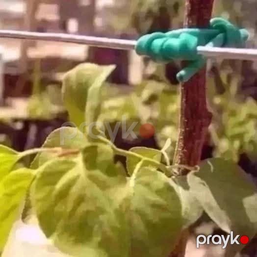 Agro rezin — Ev malları, Bakı (5)