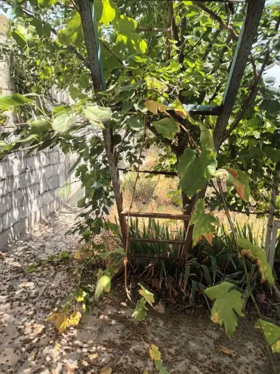 4 otaqlı Həyət evi Satılır, Naxçıvan MR — Ev, villa (11)
