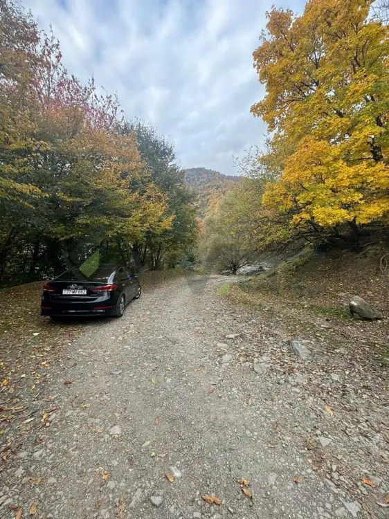 10 sot Torpaq Satılır, Zaqatala — Torpaq, Zaqatala (7)